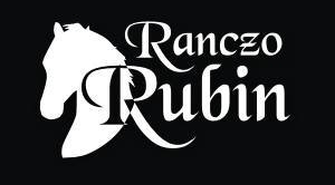 Mistrzostwa Polski Amatorów w Powożeniu Zaprzęgami Konnymi