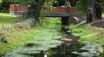 Nowe nasadzenia w Parku