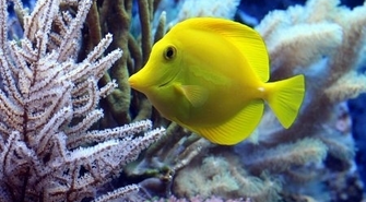  – dlaczego to LED-owe jest najlepsze?