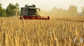 Zwrot podatku akcyzowego