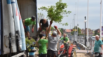 Więcej zieleni mniej betonu [ZDJĘCIA]