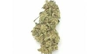 Na widok policjantów włożył narkotyki do ust