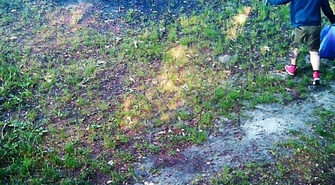  Prawdopodobnie zostałeś złapany na fotopułapkę