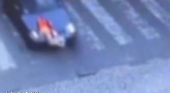 Niebezpieczne zdarzenie zarejestrowane przez monitoring. Dziecko potrącone na pasach [WIDEO]