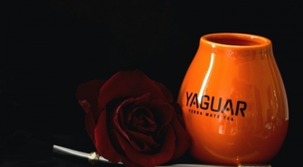 - jakie ma właściwości i dlaczego warto ją pić?