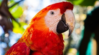 Tych 5 rzeczy nie może zabraknąć