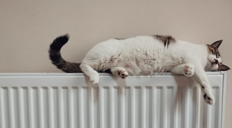 Brak opłat za gaz i ciepły dom ekologiczny - dzięki pompom ciepła