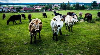 - Niezbędny sprzęt w każdym gospodarstwie na 2022 rok