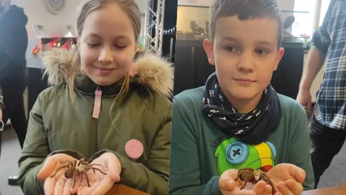 Zobacz ponad 35 okazów na żywo!