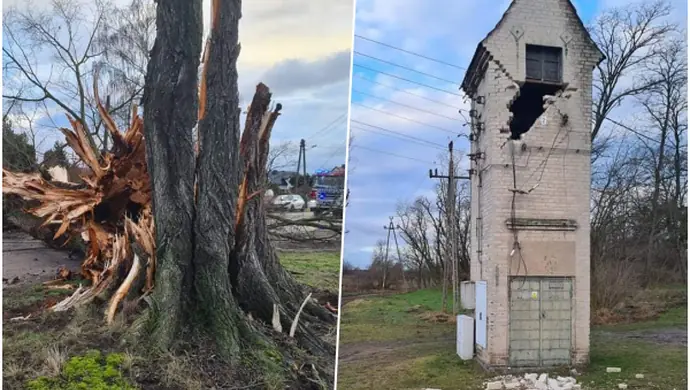 Skutki wichury w powiecie wschowskim