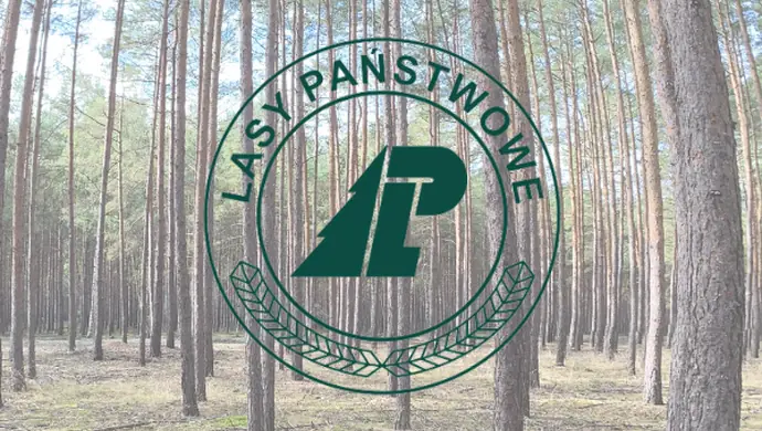 Plan urządzenia lasu dla Nadleśnictwa Włoszakowice na lata 2025-2034