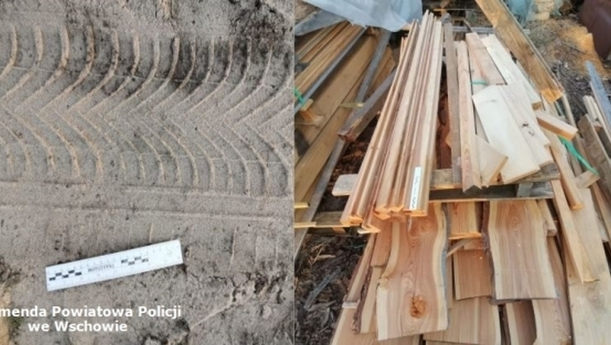 Sławscy policjanci odzyskali skradzione drewno