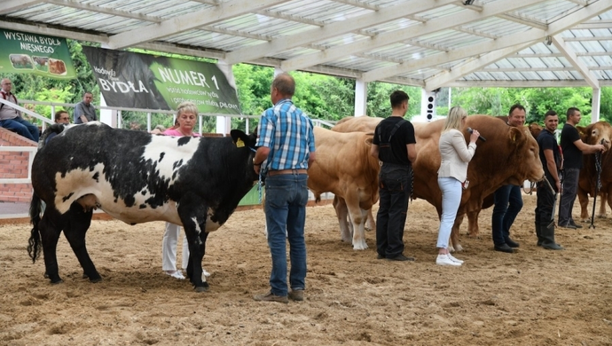 Aplikacja eDWIN, setki zwierząt, roślin uprawnych i sprzęt rolniczy na targach w Sielinku