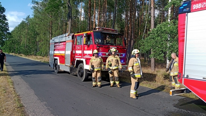 Pożar lasu w okolicach Goli! (ZDJĘCIA)