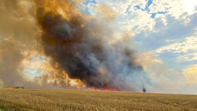 Pożar zboża na pniu w Łupicach (ZDJĘCIA)