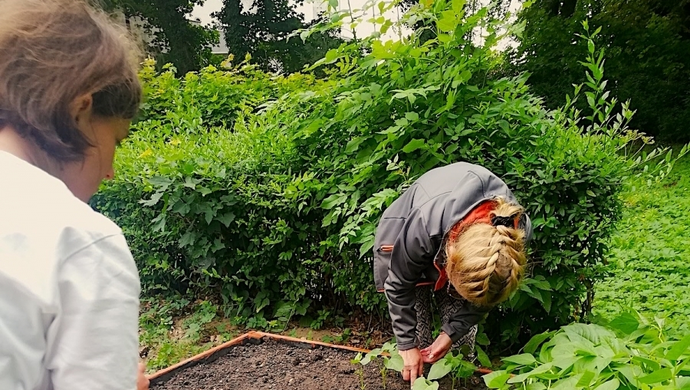 - projekt OPS we Wschowie