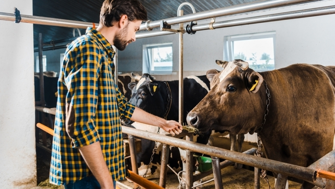 HZZ Osowa Sień zatrudni pracownika na stanowisko zootechnik