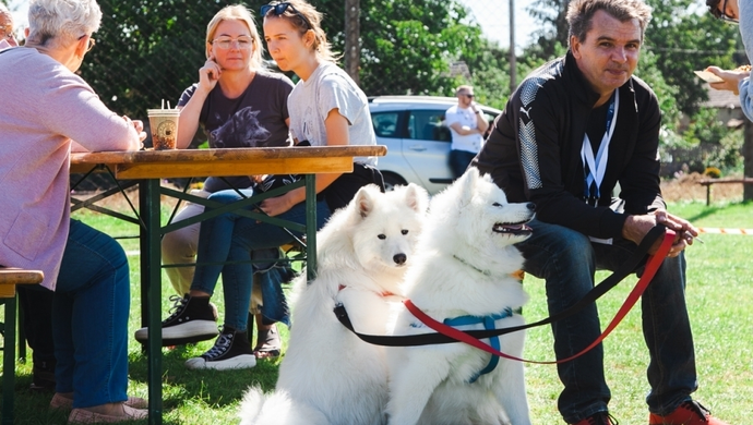 W Siedlnicy trwa wystawa psów (ZDJĘCIA)