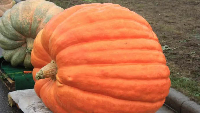 Weź udział w konkursie SCKiW