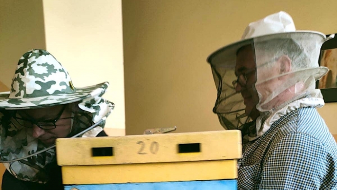 Pszczoły we wschowskim ratuszu! (ZDJĘCIA)