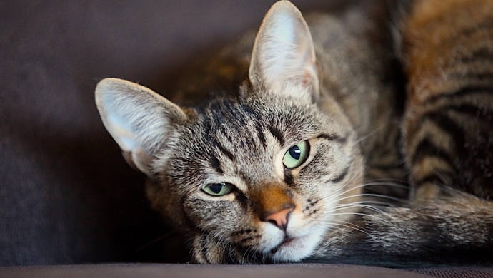 - przyłącz się do zbiórki materiałów