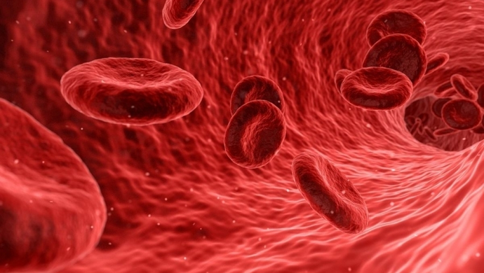 Krwiobus zaparkuje przed wschowską komendą policji (ZAPOWIEDŹ)