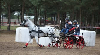 Zbliżają się zawody w powożeniu zaprzęgami konnymi w Ranczo Rubin