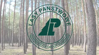 Plan urządzenia lasu dla Nadleśnictwa Włoszakowice na lata 2025-2034