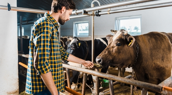 HZZ Osowa Sień zatrudni pracownika na stanowisko zootechnik
