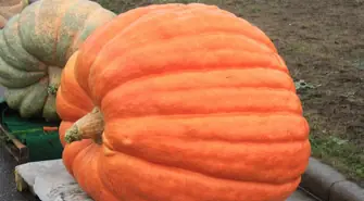 Weź udział w konkursie SCKiW