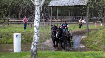 Zawody w Powożeniu Zaprzęgami Konnymi (ZAPOWIEDŹ)