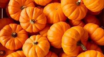 - „Dyniowy Zawrót Głowy” (ZAPOWIEDŹ)