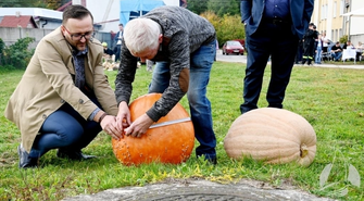 Dyniowy zawrót głowy