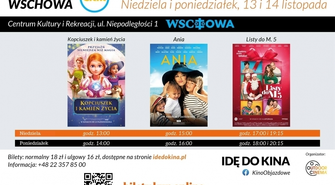 „Idę do kina“ we Wschowie - „Listy do M. 5“, „Ania“, „Kopciuszek i kamień życia“