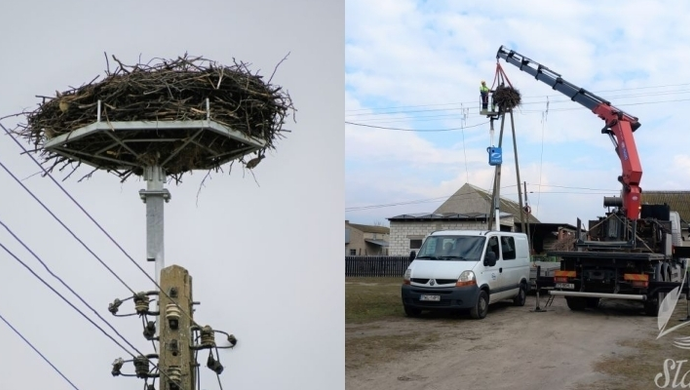 Bociany powrócą do Wróblowa na nową platformę (FOTO)