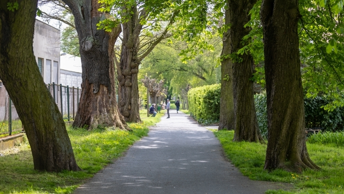 Wschowa. W Parku Tysiąclecia odbędzie się potańcówka!