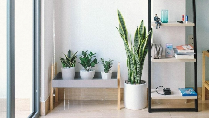 Mieszkanie na sprzedaż we Wschowie - ul. Wolsztyńska