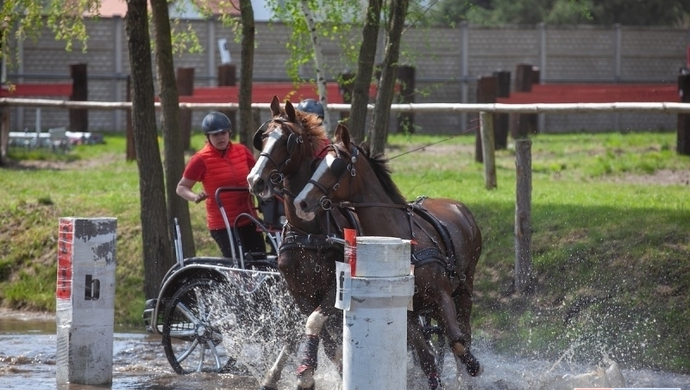 Zaprzęgowe emocje w Nowej Wsi: Harmonogram Mistrzostw Polski Amatorów!