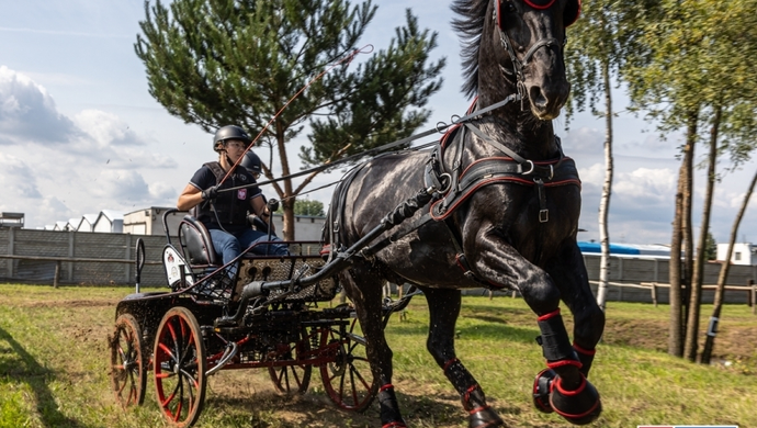 Na Ranczo Rubin trwają Mistrzostwa Polski Amatorów w Powożeniu Zaprzęgami Konnymi