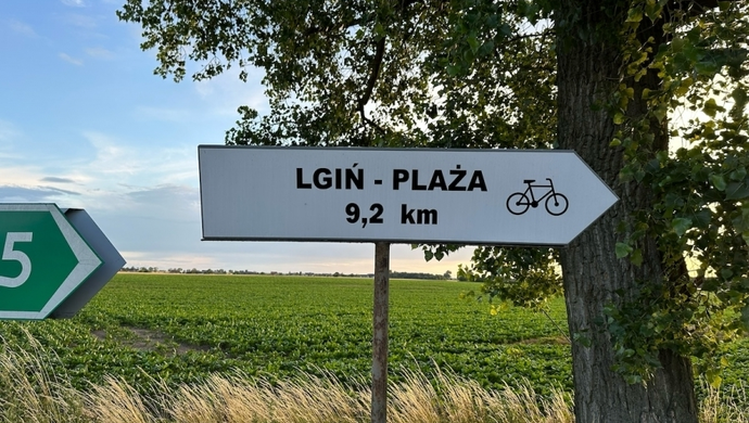 Gmina Wschowa buduje ścieżkę rowerową do Lginia. Właśnie ogłoszono przetarg na wykonawcę