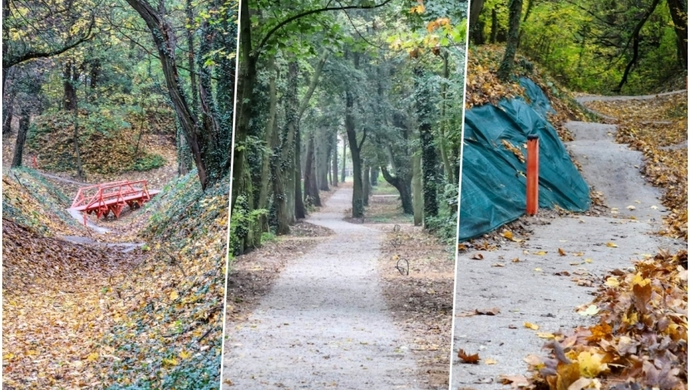 W Parku Wolsztyńskim we Wschowie powstaje rowerowy raj (FOTO)