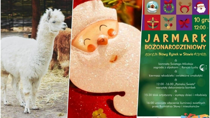 Jarmark Bożonarodzeniowy w Sławie. Świąteczne smakołyki, alpaki i spotkanie z Mikołajem!