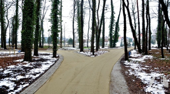 - końcowy etap rewaloryzacji sławskiego parku.(FOTO)