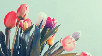 Dzień Kobiet w Ciosańcu (ZAPOWIEDŹ)