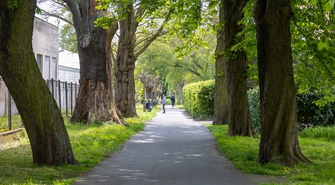 Wschowa. W Parku Tysiąclecia odbędzie się potańcówka!