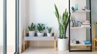 Mieszkanie na sprzedaż we Wschowie - ul. Wolsztyńska