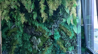 Rośliny stabilizowane w biurze - wprowadzenie do tematu