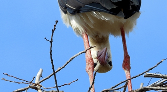 W Bibliotece rozstrzygnięto konkurs „Pstrykam i znikam – dzikie oblicze mojego regionu”