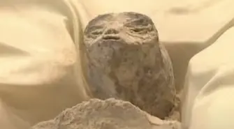 UFO w Meksyku?! W Kongresie zaprezentowano 1000-letnie „ciała obcych”