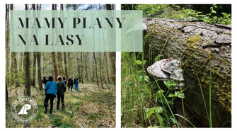 Weź udział w konsultacjach ws. Planu Urządzania Lasu Nadleśnictwa Sława Śląska